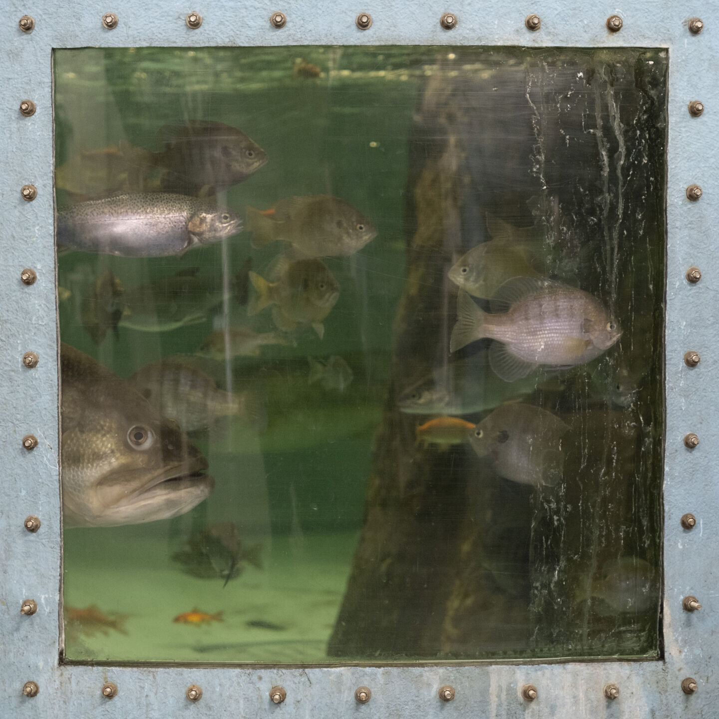 Texas Freshwater Fisheries Center